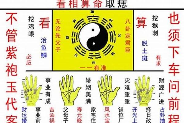 94年出生人的命与风水：揭示命运之谜与提升运势的方法