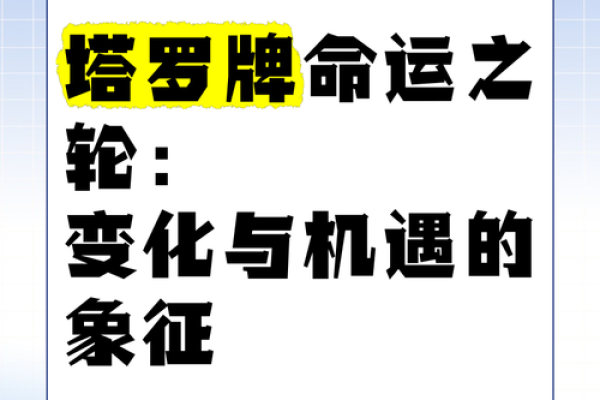 命运之轮：属相与命理的深刻联系探究