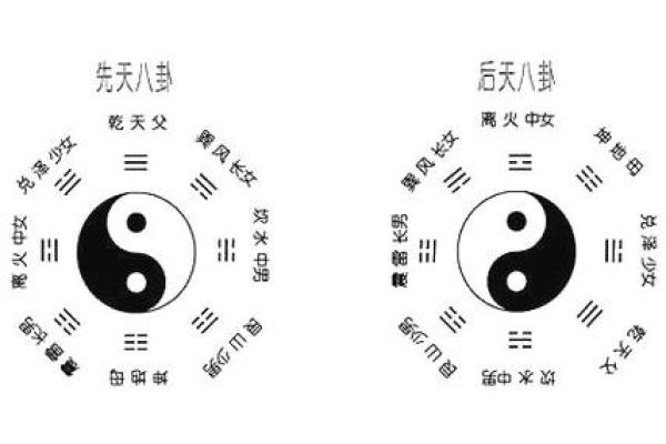 命理与骨骼健康：探秘生活中的骨骼状态与命理关系