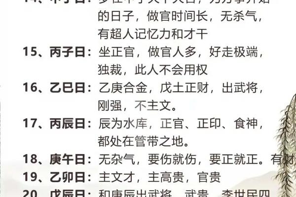 探索南北四命的奥秘：命理与人生的深刻关联