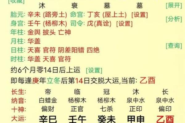 探索南北四命的奥秘：命理与人生的深刻关联