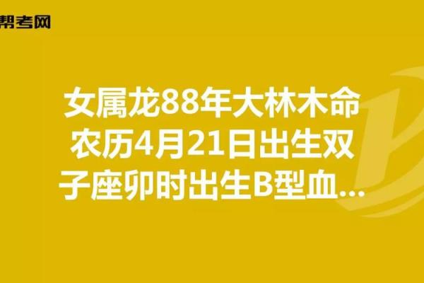 木命人适合销售的颜色与生意发展策略分析