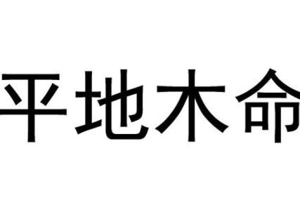 木命人适合销售的颜色与生意发展策略分析