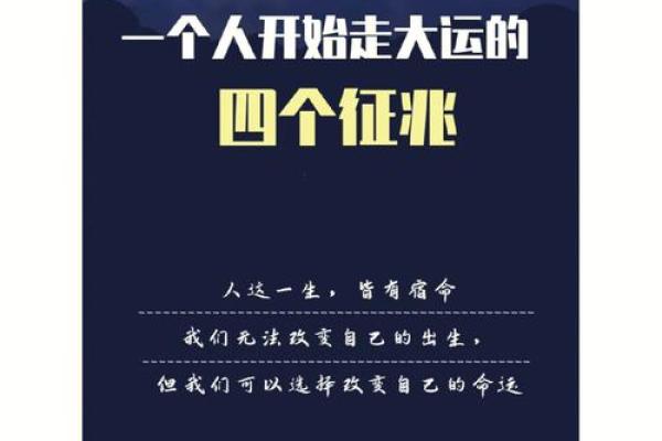 1994年出生的命男：探索命运与人生的精彩旅程