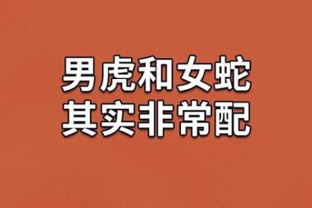 探寻性格与富贵命的奥秘：你是否具备富贵的潜质？