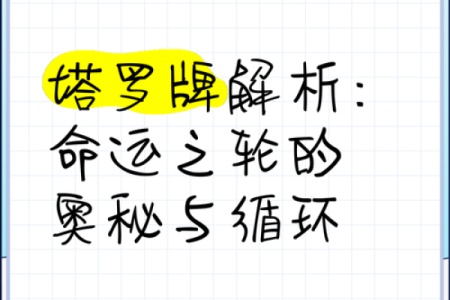 命运之轮：属相与命理的深刻联系探究