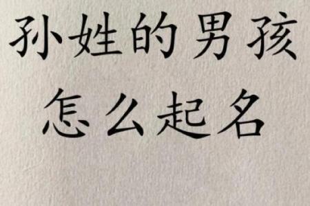 1902年属虎人的命运解析与生活智慧