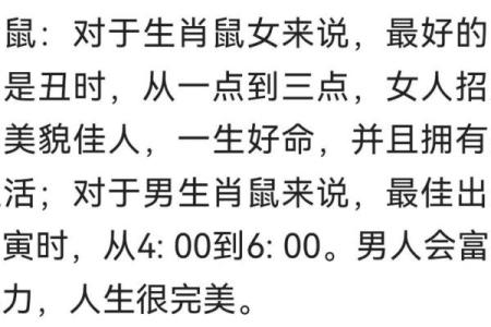 属狗豺命的时辰解析：掌握命理，洞悉人生轨迹！