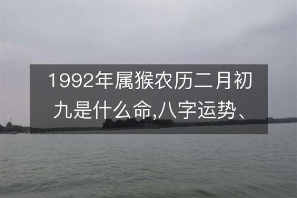 属猴2023年52虚岁解析：命理与运势的深层揭秘