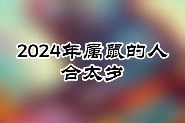 属鼠人在2024年多大及其命理分析