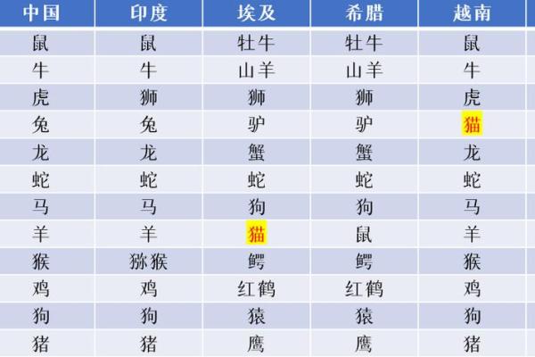 领异命：解读每个生肖背后的命运之旅