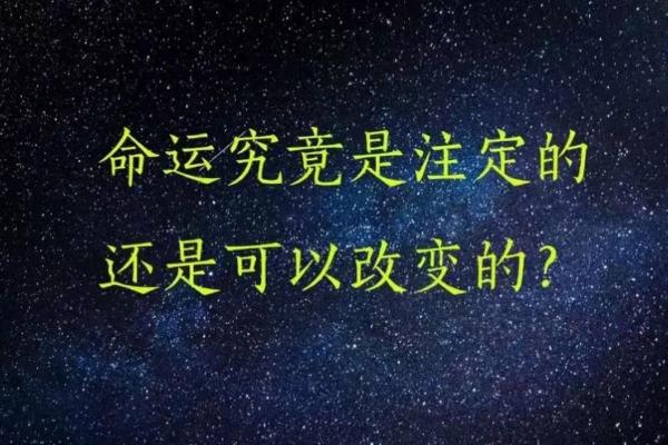 2014年出生孩子的命运解析：一生的幸运与挑战