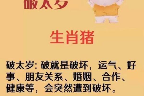 39岁属猪人的命理揭秘：事业与感情的双重挑战与机遇