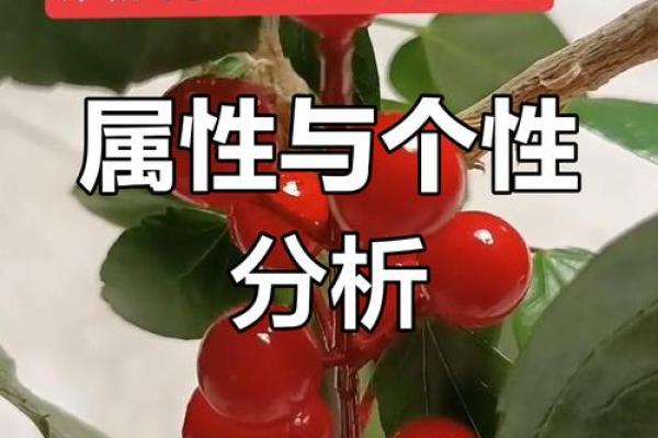 女性生肖与命运属性的秘密探讨