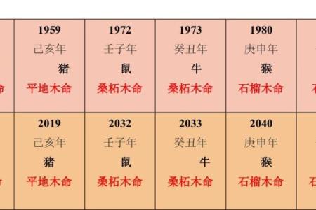 74年男虎命理解析：水命与木命的深度对比与解读