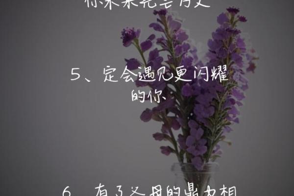 探寻1996年命格：一窥人生的奥秘与未来的可能性