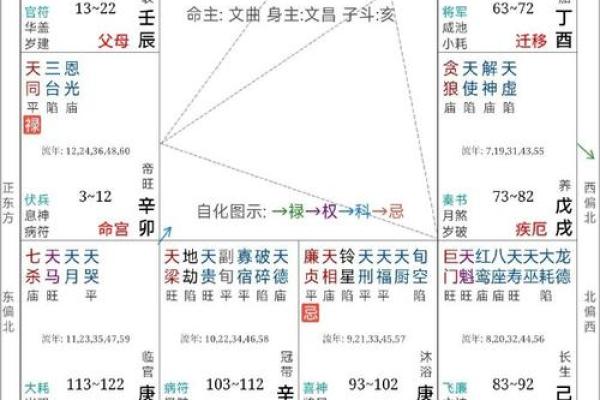 紫薇命盘解析：为何有的人无法拥有孩子？探寻命理背后的奥秘