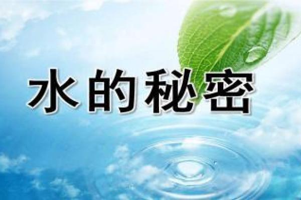 探索水命：属相与水的神秘关联与影响