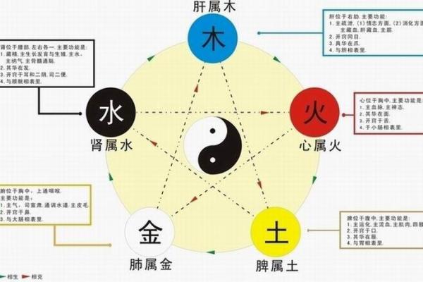 木命之人的相克关系：探索五行相生相克的奇妙世界