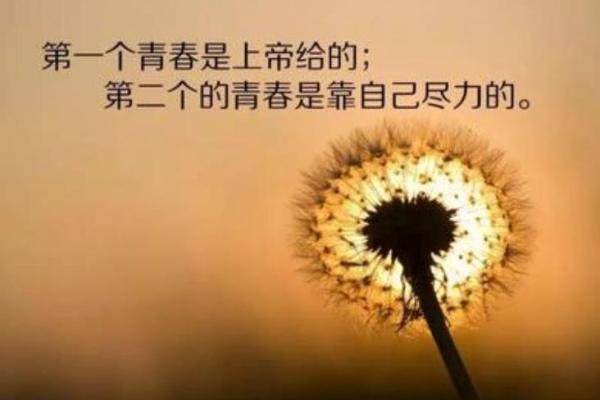 探究乙亥命格：独特的人生旅程与性格特征