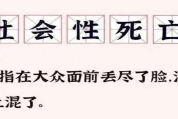 “命了”是什么梗？从网络流行语看年轻人的幽默与无奈！