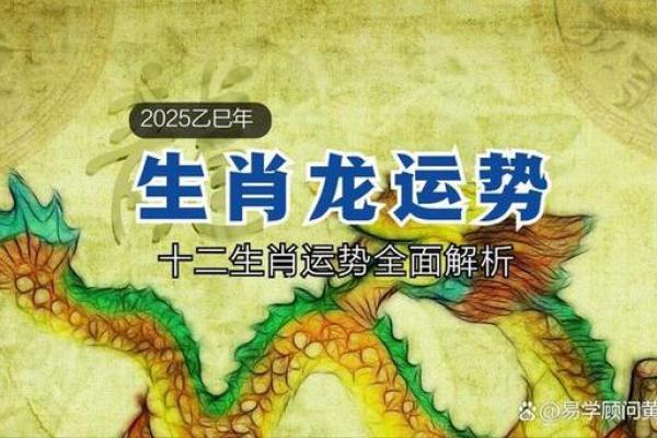 男命乙巳：探秘与生肖的深刻联系与启示