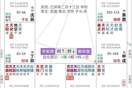 紫薇命大：探秘命理中的紫薇星与人生运势的奥秘