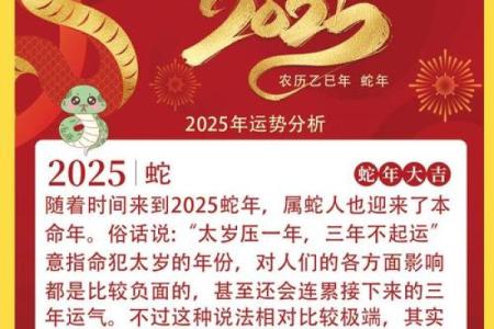 2025年是属蛇之年，解读属蛇人的命格与运势