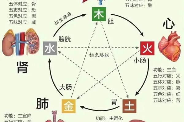 喜金水命，探寻五行相生的秘密与人生之路