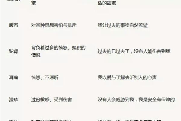 练拳的意义：从生存技巧到心灵锻炼的全面提升