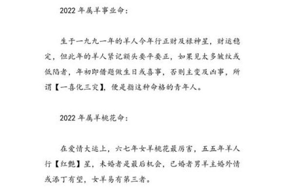 2003年羊男的命运解析：如何在困境中逆袭成功？