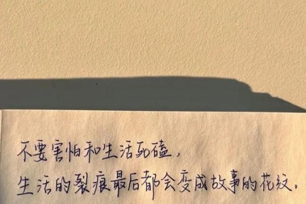 夫妻不和的命运解析：和谐夫妻的命理反思