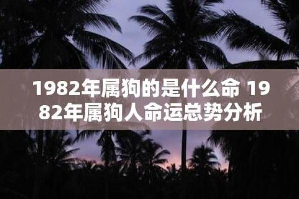 你有什么命，才会有什么结果：命运与努力的关系探析