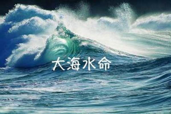 探寻癸亥大海水命的深意与命运轨迹