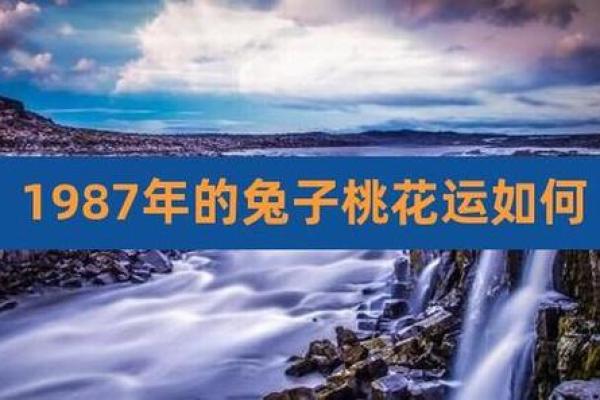 2020年属兔命运解析：兔年人的人生道路与桃花运