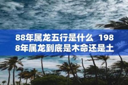 2007年土命缺什么：揭秘土命人的命理特征与发展之道