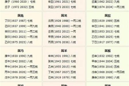 2040年属猴的命运解析：生辰八字与个性特征的深度剖析