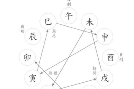 探讨男命八字：不同属性带来的命运变化