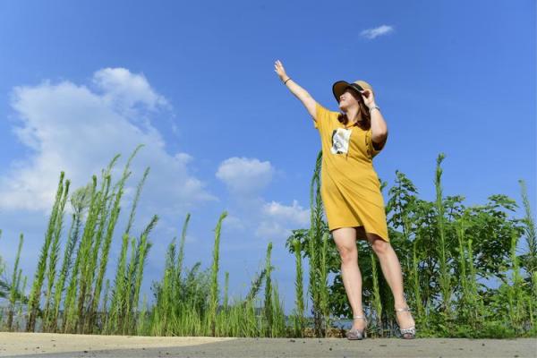 土命之人：与何相合，造就美好人生！