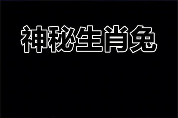 揭开生肖的秘密：属什么动物代表着你的命运与性格