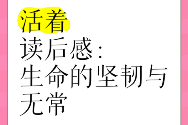 探讨“出生母亲去世”之命运：生命的脆弱与坚韧