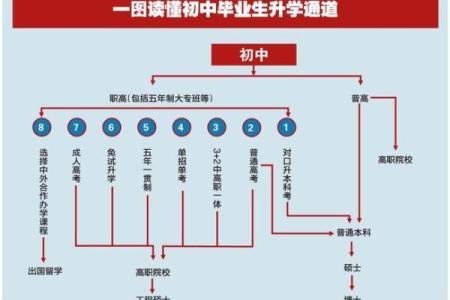 91年出生的人命运解析：适合的职业与人生方向