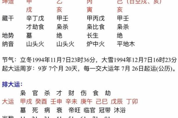 揭秘己巳壬申丙辰己亥命人的命运特征与人生轨迹