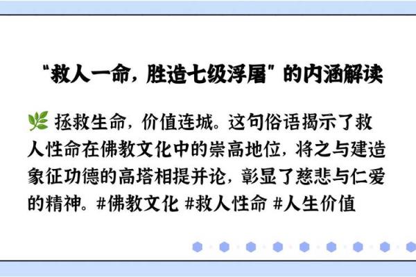 一命还一命：探寻绝情的背后与人性的深度交织