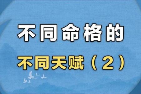 2019年出生男孩命格解析：了解他们的天赋与未来发展