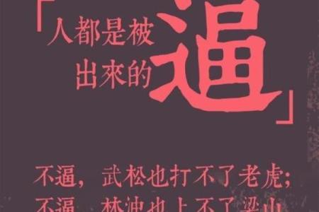 2017年兔是什么命人：命运、性格与人生哲学的探索