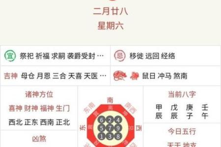 2022年生肖运势解析：哪些命人最走运，哪个生肖备受青睐？