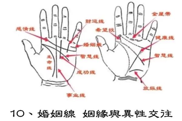 九种手相解析：揭示你的命运与性格奥秘!