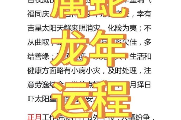 79年属蛇命的深度解析：命理与人生的智慧之旅