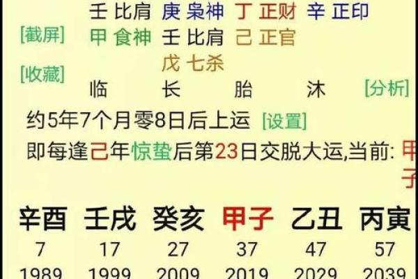 探索命理中的高官厚禄，揭秘命格的秘密与魅力